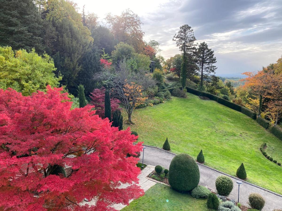 Hotel Schlossberg Badenweiler Extérieur photo