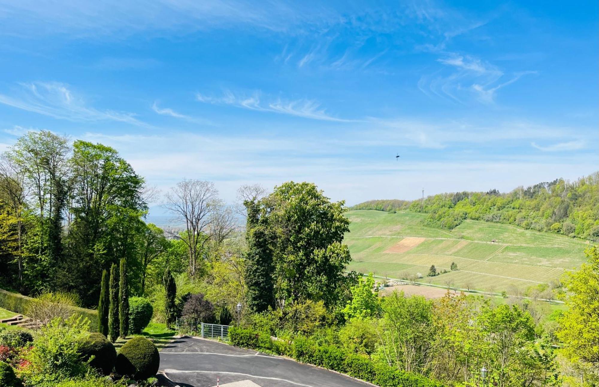 Hotel Schlossberg Badenweiler Extérieur photo