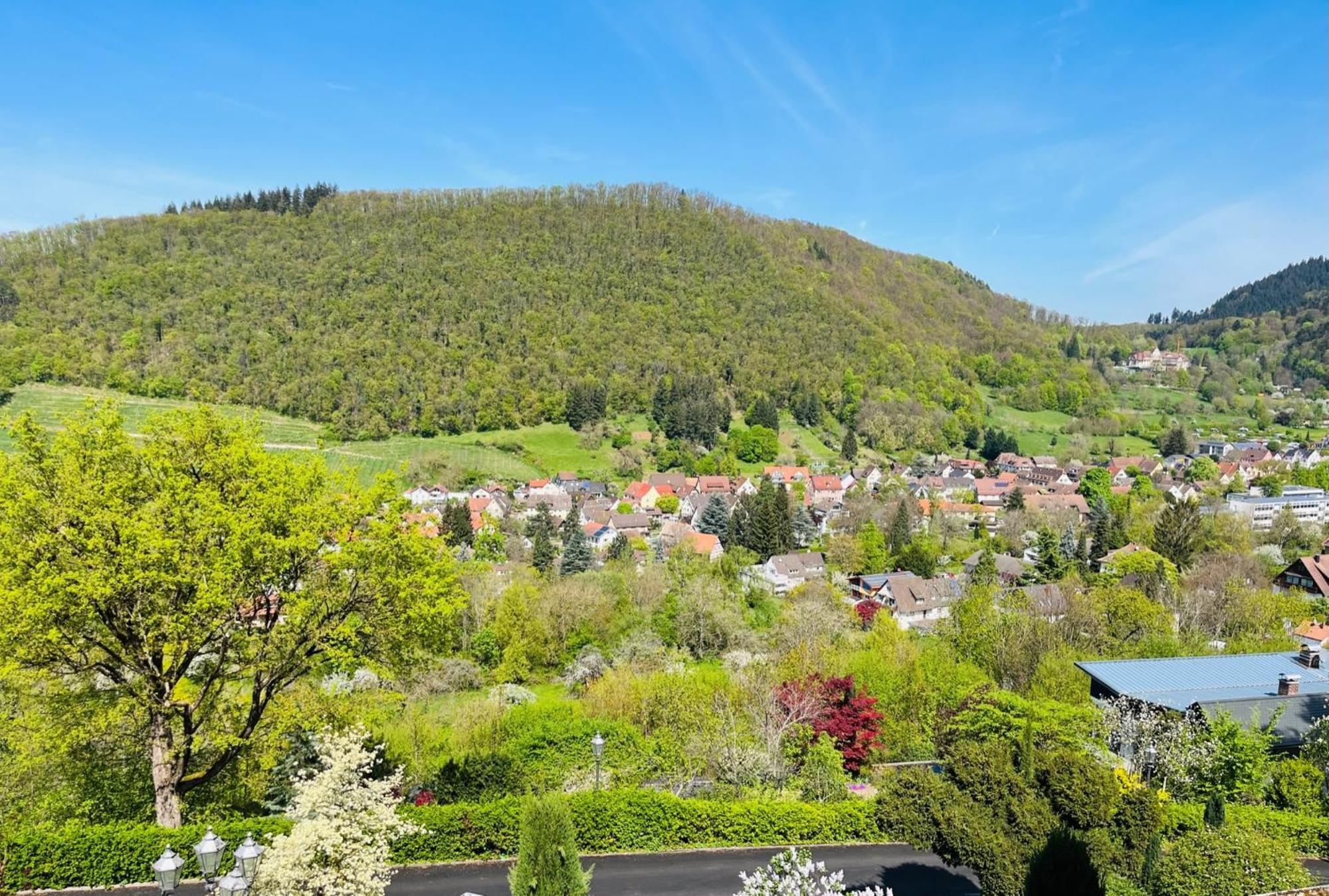 Hotel Schlossberg Badenweiler Extérieur photo