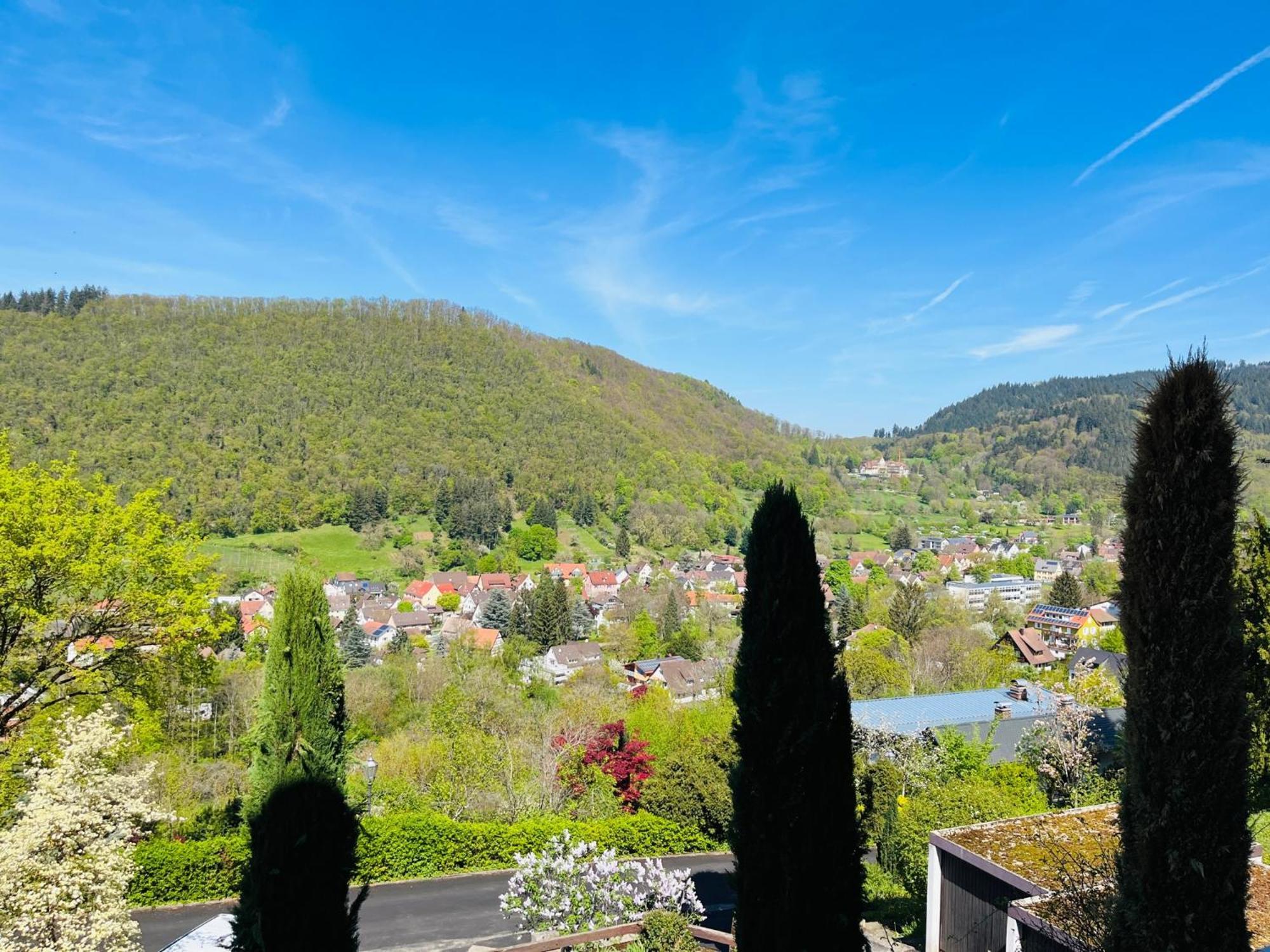 Hotel Schlossberg Badenweiler Extérieur photo