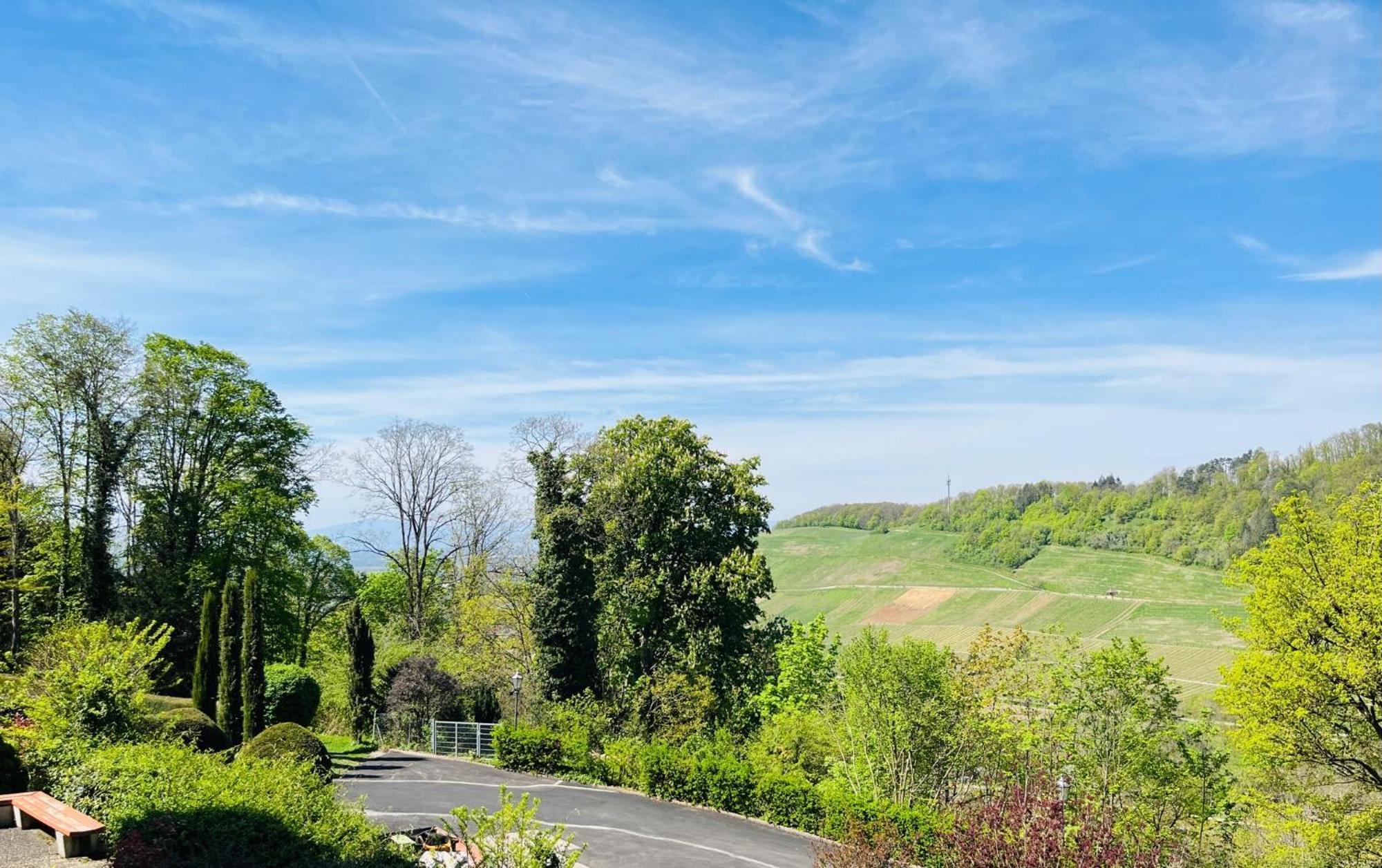 Hotel Schlossberg Badenweiler Extérieur photo