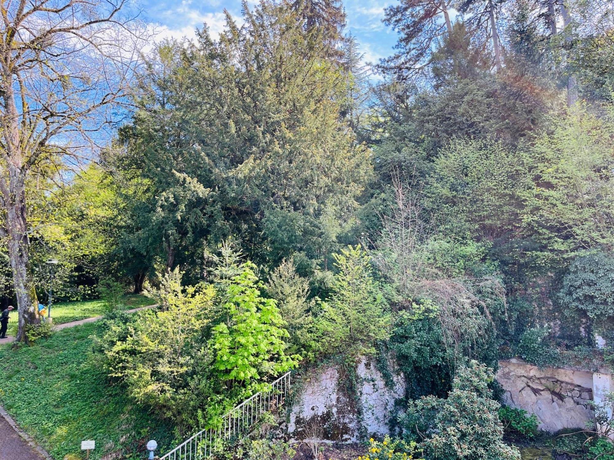 Hotel Schlossberg Badenweiler Extérieur photo