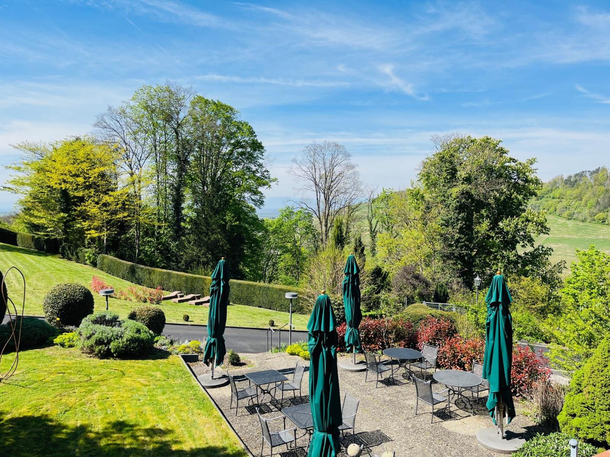 Hotel Schlossberg Badenweiler Extérieur photo